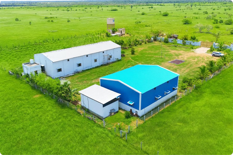 Aerial view of the Asmi International manufacturing facility in Tuticorin, Tamil Nadu