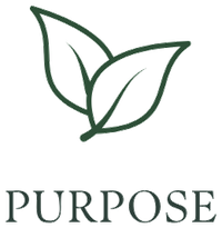 Purpose icon